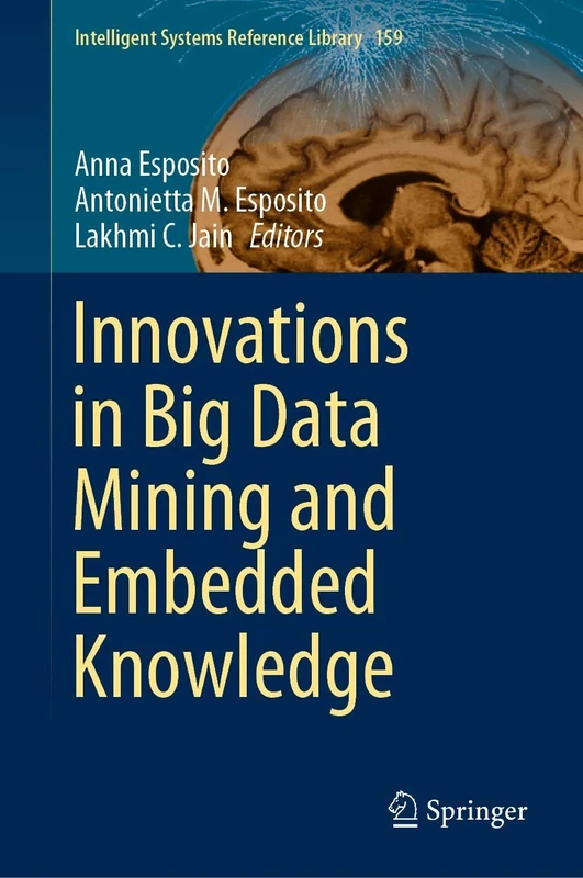Innovations in Big Data Mining and Embedded Knowledge: 159 (Intelligent Systems Reference Library, 159)