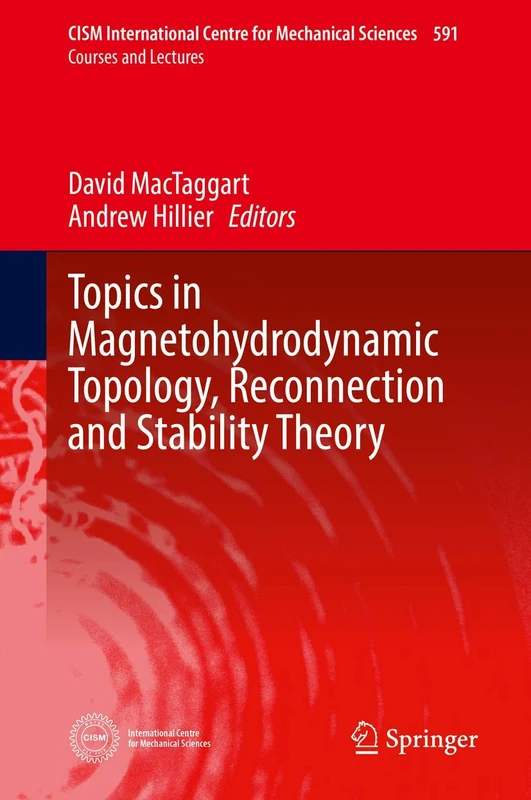 Topics in Magnetohydrodynamic Topology, Reconnection and Stability Theory: 591 (CISM International Centre for Mechanical Sciences, 591)
