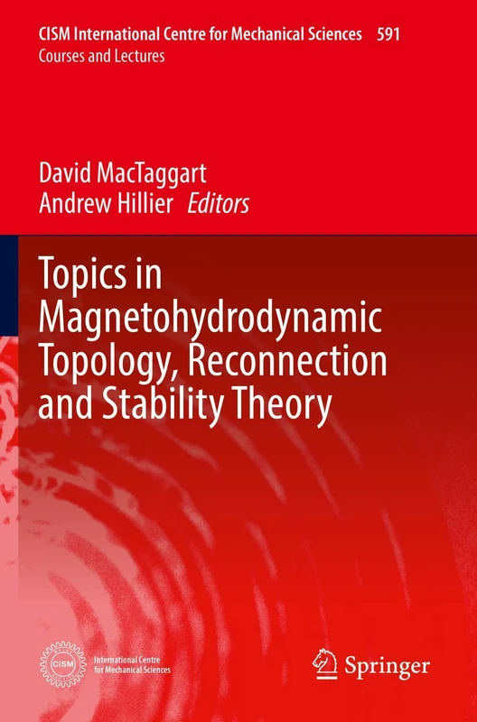 Topics in Magnetohydrodynamic Topology, Reconnection and Stability Theory: 591 (CISM International Centre for Mechanical Sciences, 591)