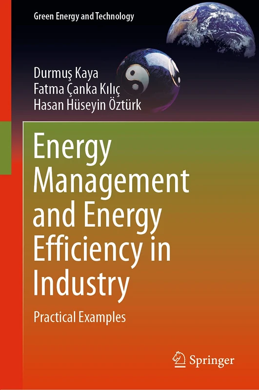Energy Management and Energy Efficiency in Industry: Practical Examples (Green Energy and Technology) - Image 1