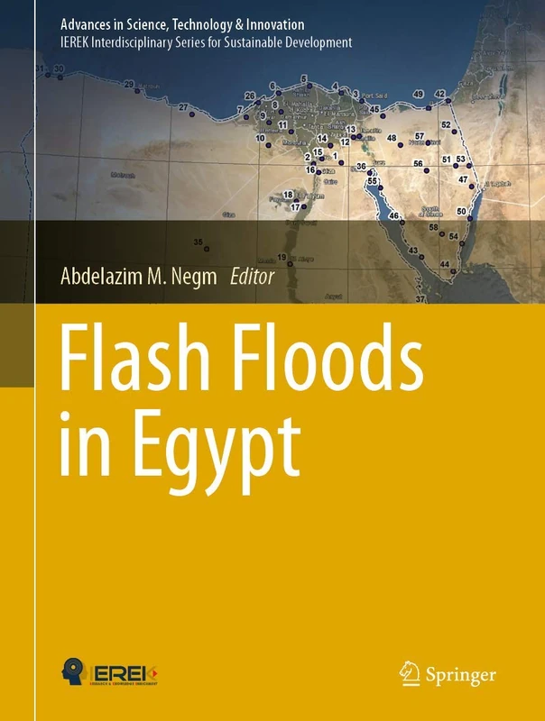 Flash Floods in Egypt (Advances in Science, Technology & Innovation)