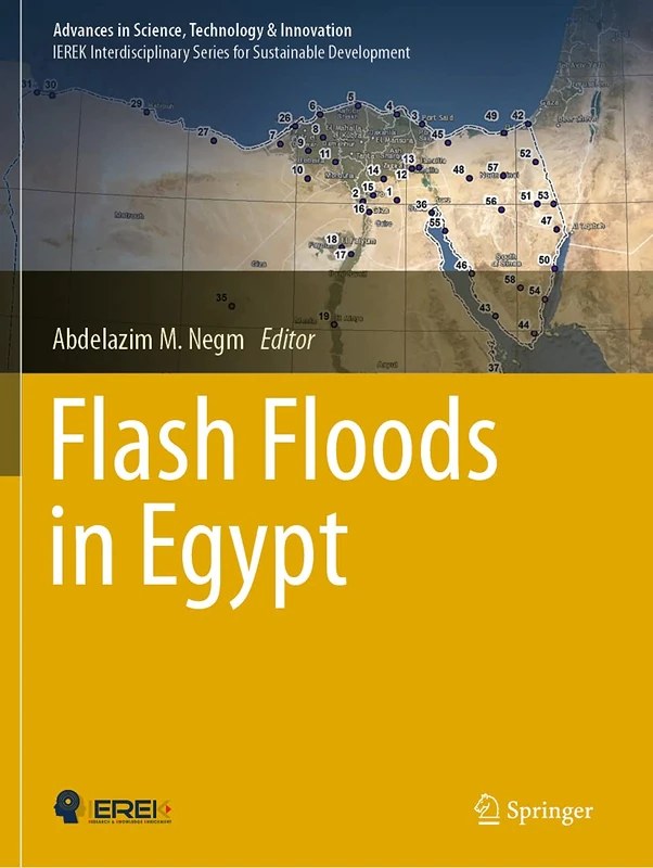 Flash Floods in Egypt (Advances in Science, Technology & Innovation)