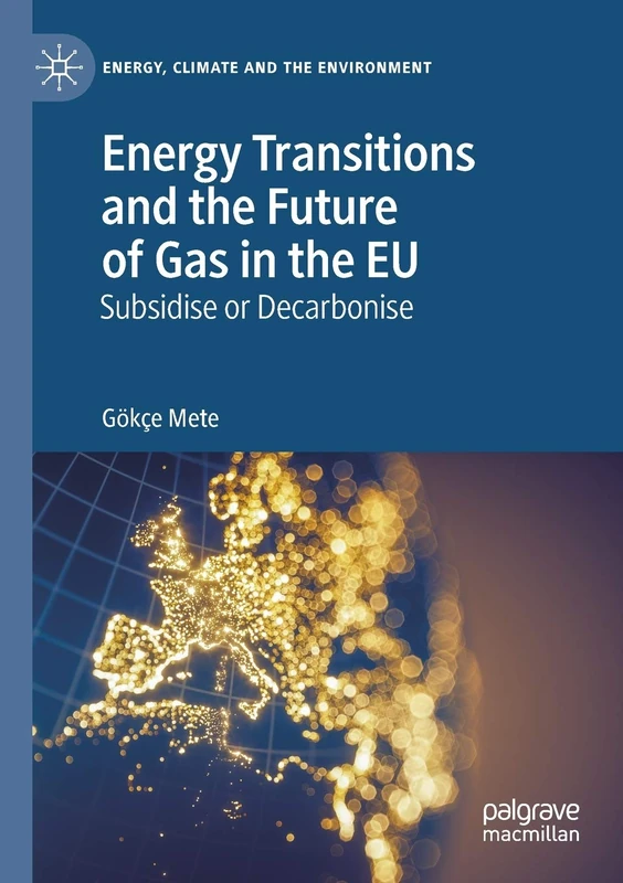 Energy Transitions and the Future of Gas in the EU: Subsidise or Decarbonise (Energy, Climate and the Environment)