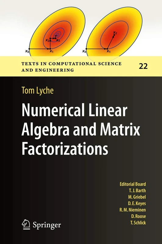 Numerical Linear Algebra and Matrix Factorizations: 22 (Texts in Computational Science and Engineering, 22)
