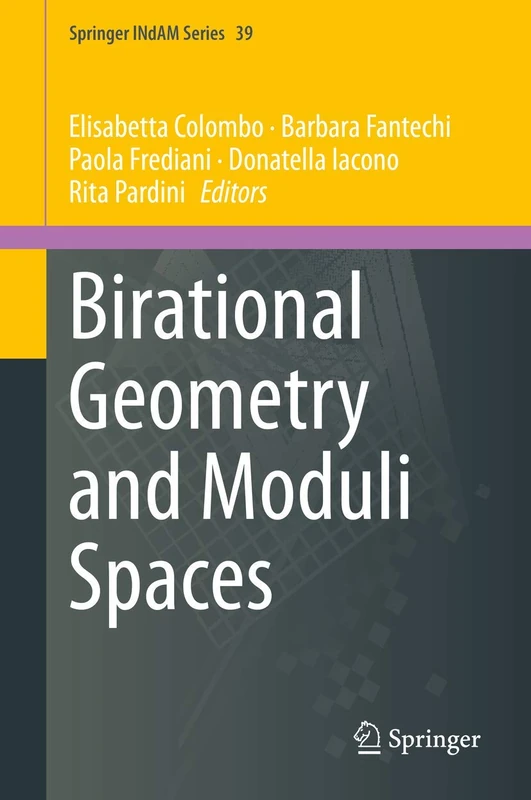 Birational Geometry and Moduli Spaces: 39 (Springer INdAM Series, 39)
