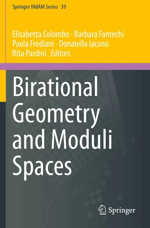 Birational Geometry and Moduli Spaces: 39 (Springer INdAM Series, 39)