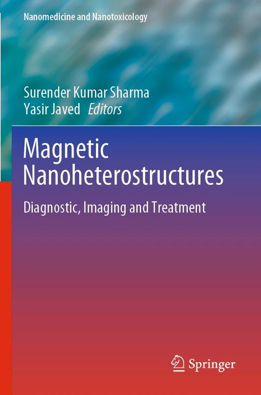 Magnetic Nanoheterostructures: Diagnostic, Imaging and Treatment (Nanomedicine and Nanotoxicology) - Image 1