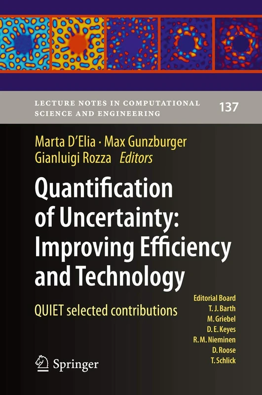 Quantification of Uncertainty: Improving Efficiency and Technology: QUIET selected contributions: 137 (Lecture Notes in Computational Science and Engineering, 137)