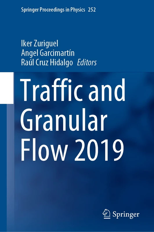Traffic and Granular Flow 2019: 252 (Springer Proceedings in Physics, 252)
