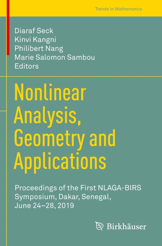 Birkhauser Nonlinear Analysis, Geometry and Applications Book