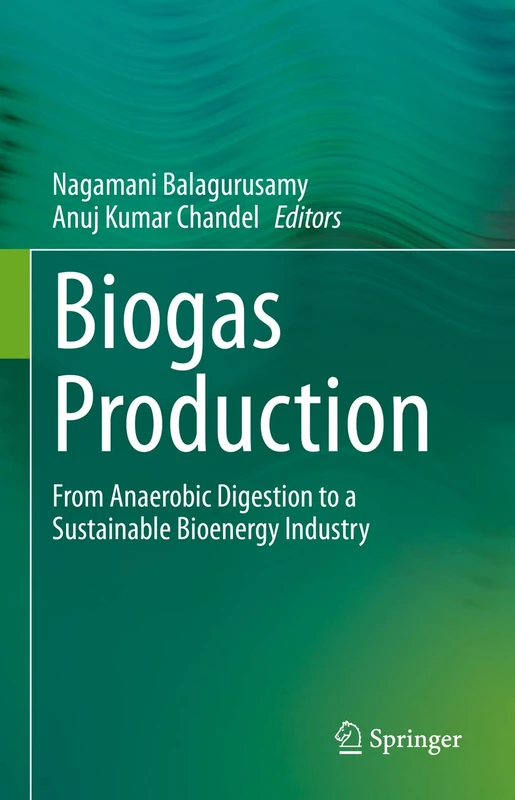 Biogas Production: From Anaerobic Digestion to a Sustainable Bioenergy Industry