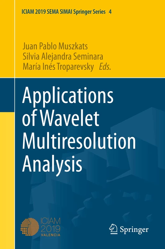 Applications of Wavelet Multiresolution Analysis: 4 (SEMA SIMAI Springer Series, 4)