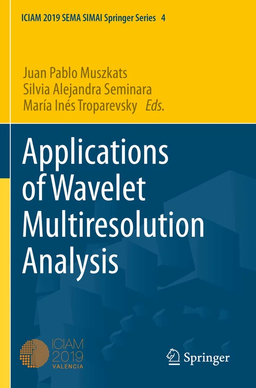 Applications of Wavelet Multiresolution Analysis: 4 (SEMA SIMAI Springer Series, 4)