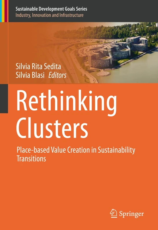 Rethinking Clusters: Place-based Value Creation in Sustainability Transitions (Sustainable Development Goals Series) - Image 1