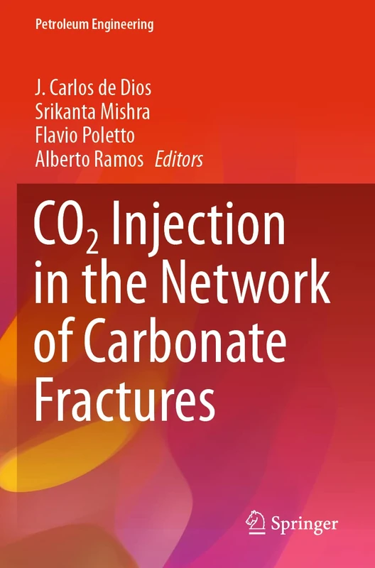 CO2 Injection in the Network of Carbonate Fractures (Petroleum Engineering)