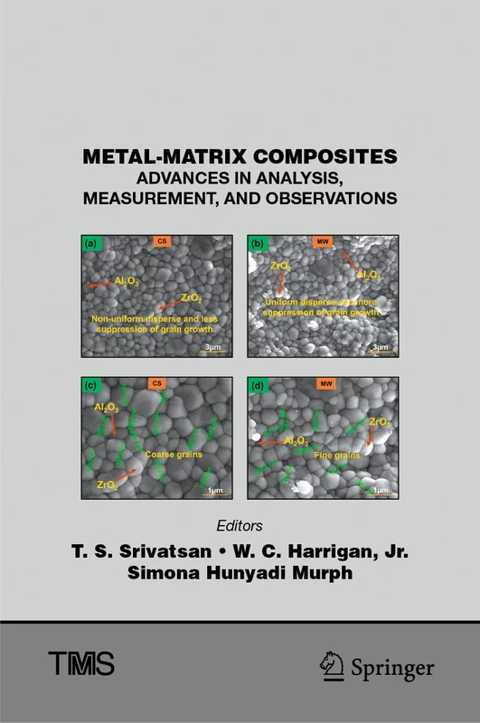 Metal-Matrix Composites: Advances in Analysis, Measurement, and Observations (The Minerals, Metals & Materials Series)