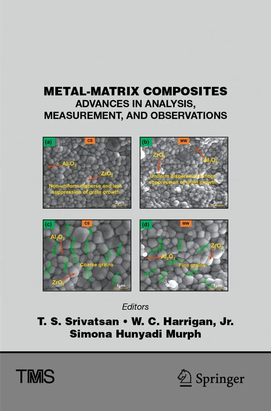 Metal-Matrix Composites: Advances in Analysis, Measurement, and Observations (The Minerals, Metals & Materials Series)
