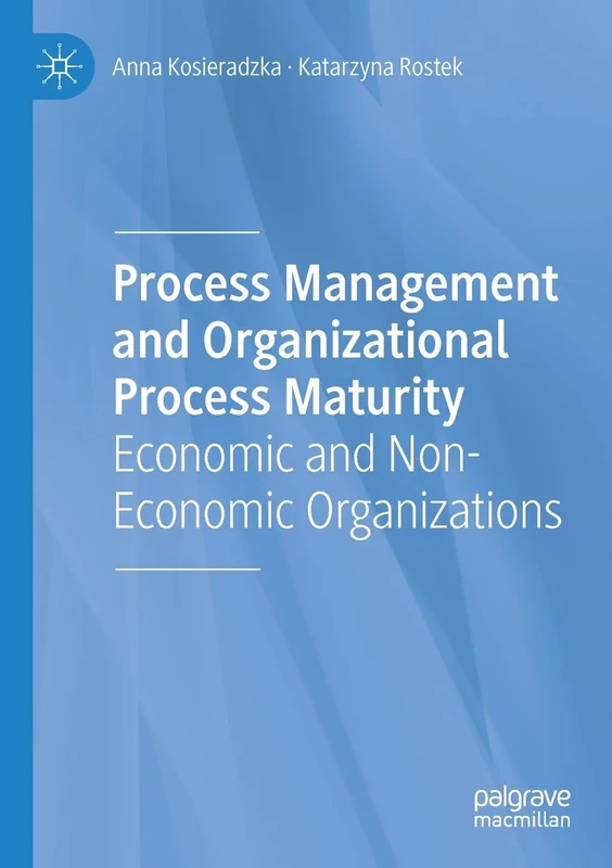 Process Management and Organizational Process Maturity: Economic and Non-Economic Organizations