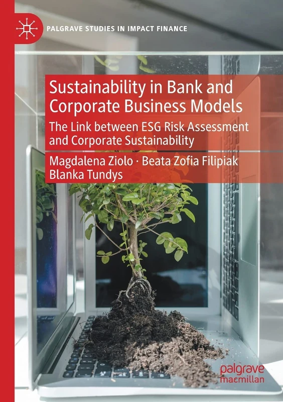 Sustainability in Bank and Corporate Business Models - MACMILLAN