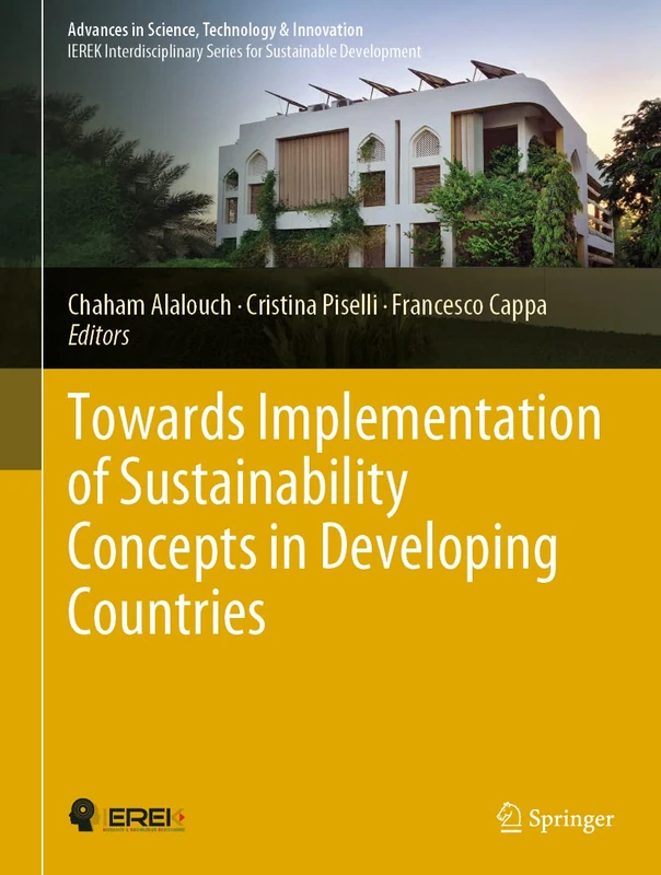 Towards Implementation of Sustainability Concepts in Developing Countries (Advances in Science, Technology & Innovation)