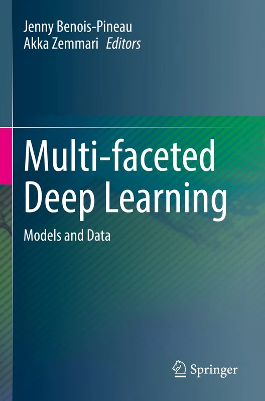 Multi-faceted Deep Learning: Models and Data