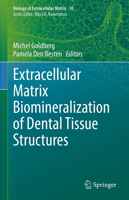 Extracellular Matrix Biomineralization of Dental Tissue Structures: 10 (Biology of Extracellular Matrix, 10)