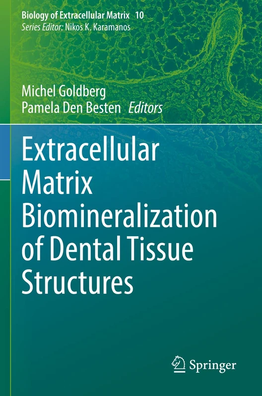 Extracellular Matrix Biomineralization of Dental Tissue Structures: 10 (Biology of Extracellular Matrix, 10)
