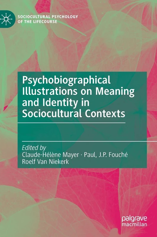 Psychobiographical Illustrations on Meaning and Identity in Sociocultural Contexts (Sociocultural Psychology of the Lifecourse)