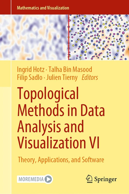 Topological Methods in Data Analysis and Visualization VI: Theory, Applications, and Software (Mathematics and Visualization)