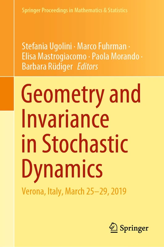 Geometry and Invariance in Stochastic Dynamics: Verona, Italy, March 25-29, 2019: 378 (Springer Proceedings in Mathematics & Statistics, 378)
