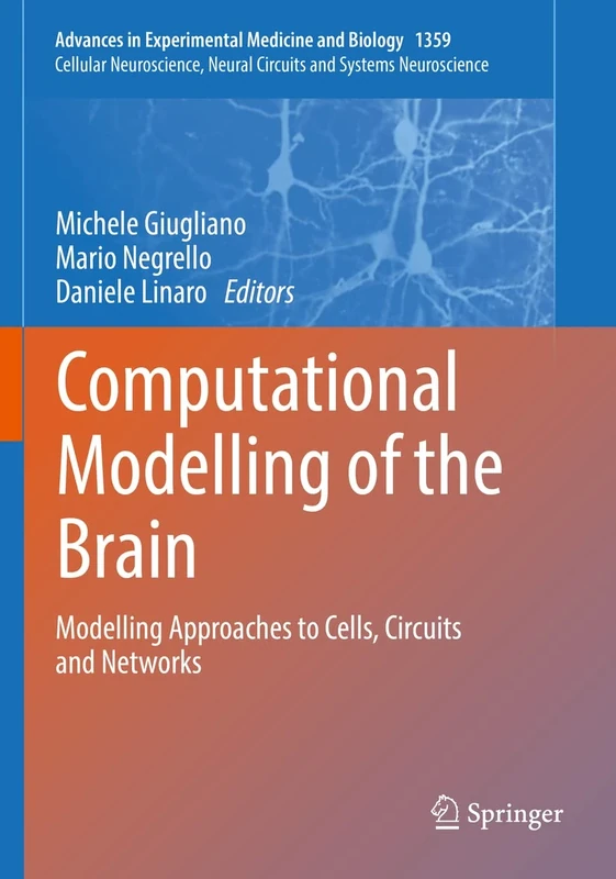 Computational Modelling of the Brain: Modelling Approaches to Cells, Circuits and Networks: 1359 (Advances in Experimental Medicine and Biology, 1359)
