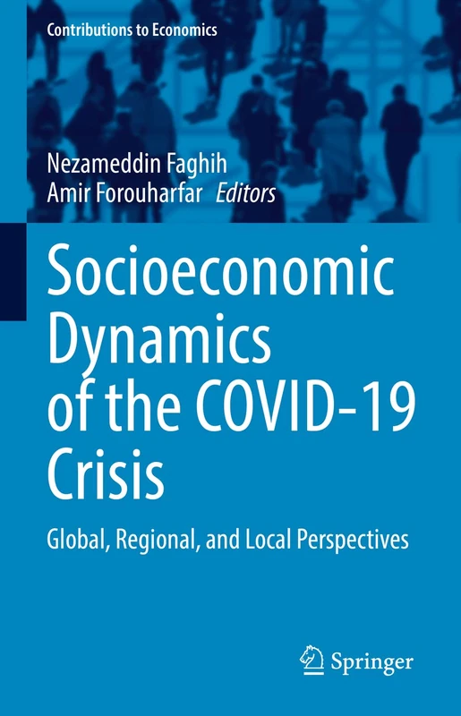 Socioeconomic Dynamics of the COVID-19 Crisis: Global, Regional, and Local Perspectives (Contributions to Economics)
