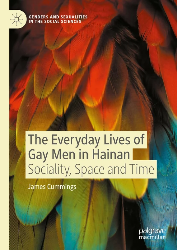 The Everyday Lives of Gay Men in Hainan: Sociality, Space and Time (Genders and Sexualities in the Social Sciences)