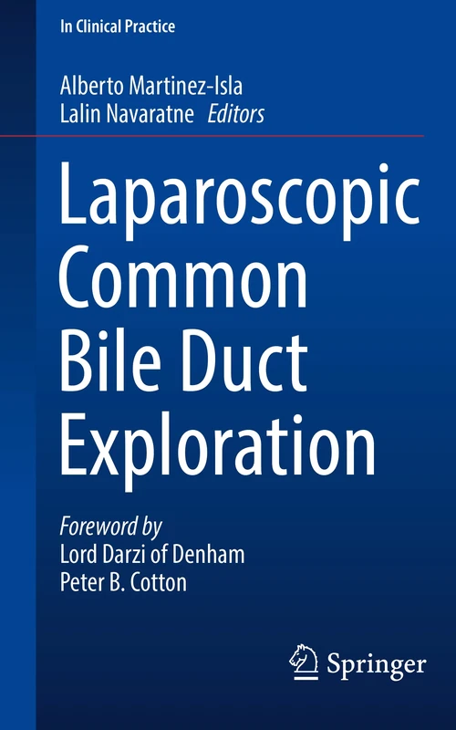 Laparoscopic Common Bile Duct Exploration (In Clinical Practice)