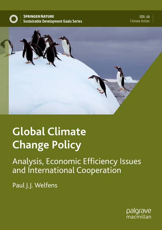 Global Climate Change Policy: Analysis, Economic Efficiency Issues and International Cooperation (Sustainable Development Goals Series)