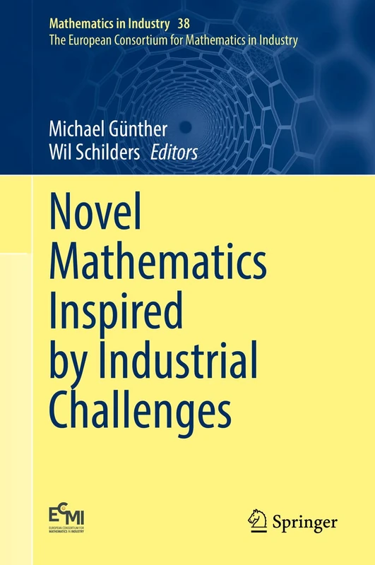 Novel Mathematics Inspired by Industrial Challenges: 38 (Mathematics in Industry, 38)