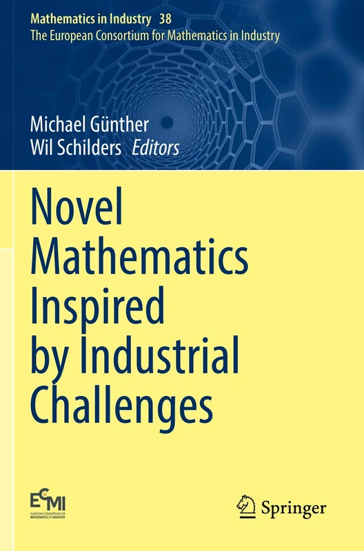 Novel Mathematics Inspired by Industrial Challenges: 38 (Mathematics in Industry, 38) - Image 1