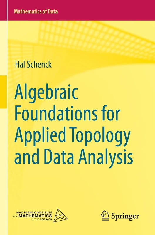 Algebraic Foundations for Applied Topology and Data Analysis: 1 (Mathematics of Data, 1)