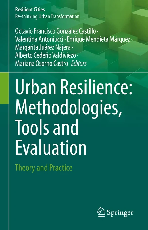 Urban Resilience: Methodologies, Tools and Evaluation: Theory and Practice: 1 (Resilient Cities)