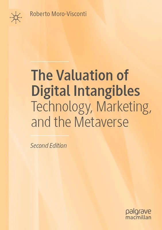 Macmillan The Valuation of Digital Intangibles - Business Book