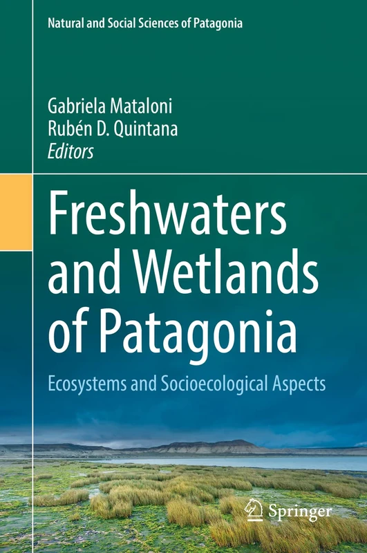 Springer - Freshwaters and Wetlands of Patagonia Book