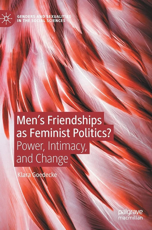 Men’s Friendships as Feminist Politics?: Power, Intimacy, and Change (Genders and Sexualities in the Social Sciences)