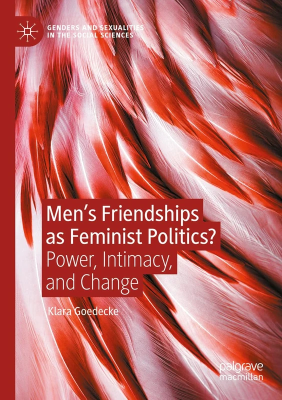 Men’s Friendships as Feminist Politics?: Power, Intimacy, and Change (Genders and Sexualities in the Social Sciences)