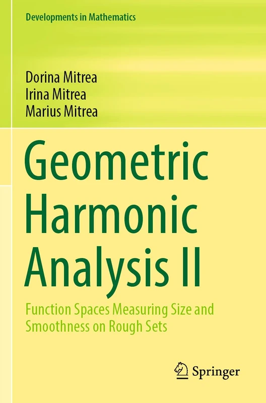 Geometric Harmonic Analysis II: Function Spaces Measuring Size and Smoothness on Rough Sets: 73 (Developments in Mathematics, 73)
