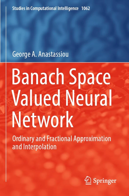 Springer Banach Space Valued Neural Network Book - 1062