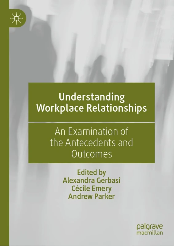 MACMILLAN Understanding Workplace Relationships - Book