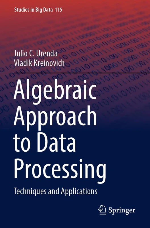 Algebraic Approach to Data Processing: Techniques and Applications: 115 (Studies in Big Data, 115)
