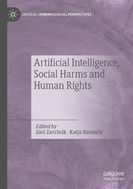 Artificial Intelligence, Social Harms and Human Rights (Critical Criminological Perspectives)