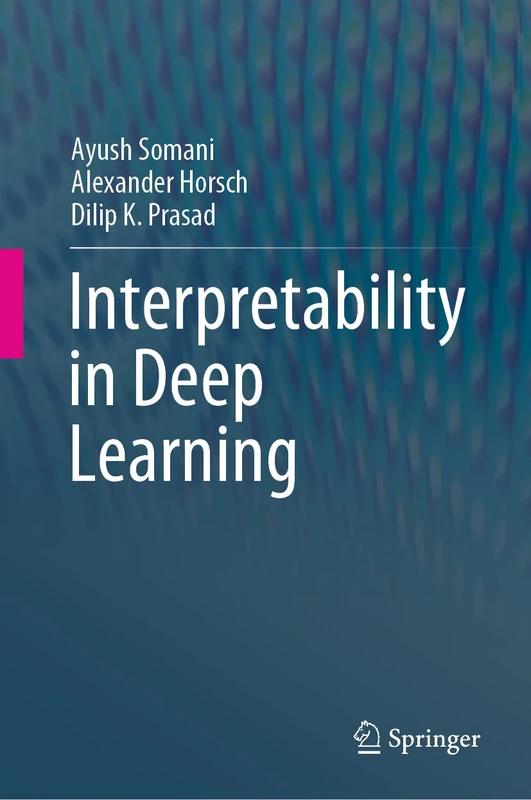 Springer - Interpretability in Deep Learning Book - Image 1