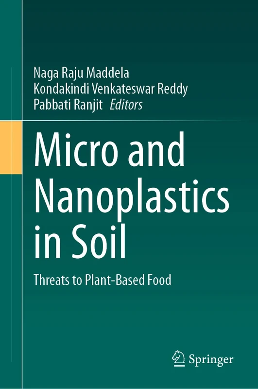 Micro and Nanoplastics in Soil: Threats to Plant-Based Food